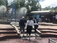 ハーベストの丘の写真・動画_image_637660