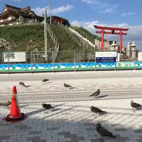 蕪嶋神社の写真・動画_image_637679