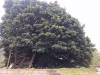 三角西港の写真・動画_image_638218