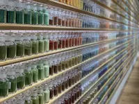 PIGMENT（ピグモン）の写真・動画_image_638669