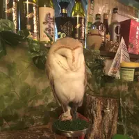 福楼の写真・動画_image_638912