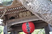 長谷寺の写真・動画_image_638963
