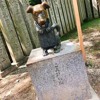 金刀比羅宮（こんぴらさん）の写真・動画_image_639565