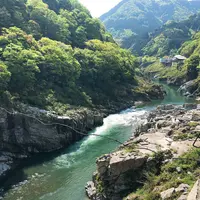 大歩危峡の写真・動画_image_639571