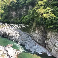 大歩危峡の写真・動画_image_639572