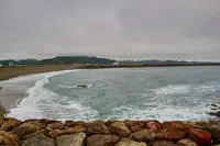 桂浜の写真・動画_image_639576