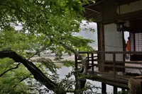 臥龍山荘の写真・動画_image_639577