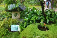 臥龍山荘の写真・動画_image_639578