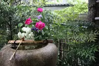 臥龍山荘の写真・動画_image_639579
