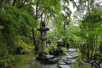 臥龍山荘の写真・動画_image_639580
