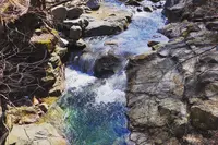 スッカン沢の写真・動画_image_639586