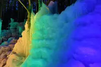 タルマかね氷の写真・動画_image_639592