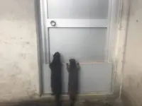 【閉業】京急油壺マリンパークの写真・動画_image_639601