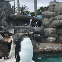 【閉業】京急油壺マリンパークの写真・動画_image_639602
