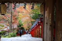 貴船神社の写真・動画_image_640553