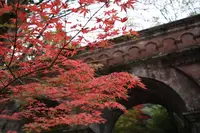 南禅寺の写真・動画_image_640554