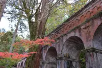 南禅寺の写真・動画_image_640556