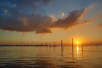 江川海岸の写真・動画_image_640565