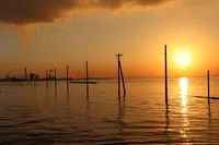 江川海岸の写真・動画_image_640567