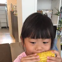 ASO SWEET CORN 阿蘇の森の写真・動画_image_641471