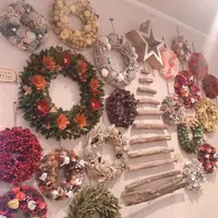 おかげ横丁の写真・動画_image_641819