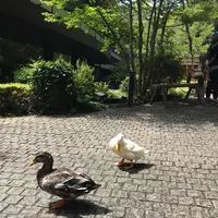 天成園の写真・動画_image_641928