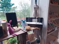 暇楽の写真・動画_image_642272