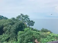 芥屋の大門公園の写真・動画_image_642674