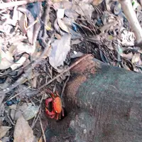 芥屋の大門公園の写真・動画_image_642675