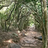 芥屋の大門公園の写真・動画_image_642677