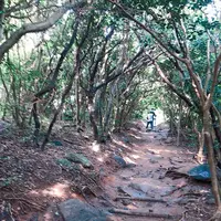 芥屋の大門公園の写真・動画_image_642678