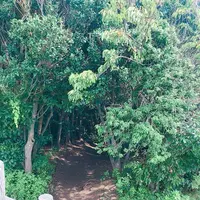 芥屋の大門公園の写真・動画_image_642680