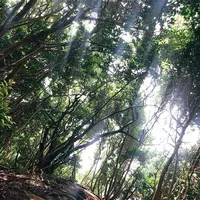 芥屋の大門公園の写真・動画_image_642681