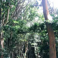 芥屋の大門公園の写真・動画_image_642682