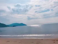 パームビーチ 天使の羽の写真・動画_image_642698