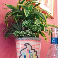 パームビーチ・ザ・ガーデンズ（PALM BEACH THE GARDENS）の写真・動画_image_642916