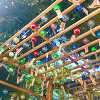 川越氷川神社の写真・動画_image_643916