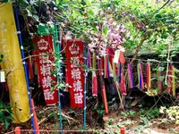 まぼろし博覧会の写真・動画_image_643921