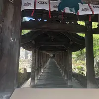 長谷寺の写真・動画_image_644963