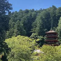 長谷寺の写真・動画_image_644965