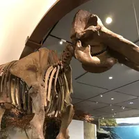 琵琶湖博物館の写真・動画_image_645541