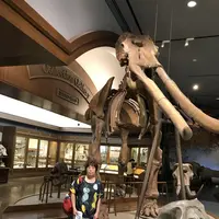 琵琶湖博物館の写真・動画_image_645542