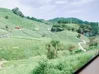 dandancafeの写真・動画_image_647999