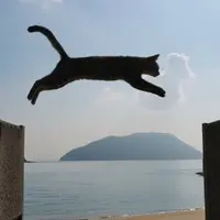 佐柳島の写真・動画_image_648391