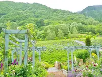 蒜山 ハーブガーデンの写真・動画_image_648402
