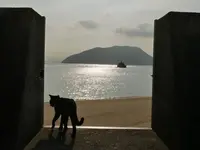 佐柳島の写真・動画_image_648411