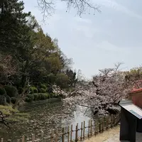 道後公園の写真・動画_image_650177