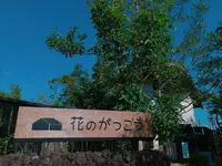 花のがっこうの写真・動画_image_650418