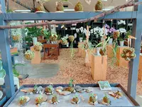 花のがっこうの写真・動画_image_650419