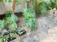 花のがっこうの写真・動画_image_650420